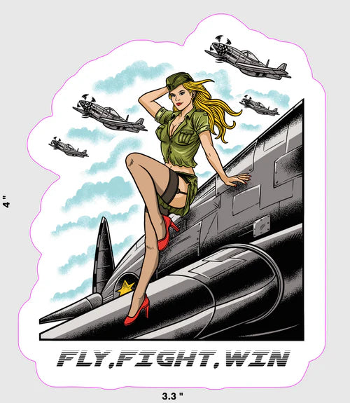 fly-fight-win