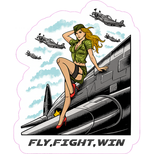 fly-fight-win